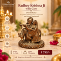 Radhey Krishna Ji with Cow