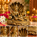 Shri Vishnu Lakshmi Ji on Sheshnag